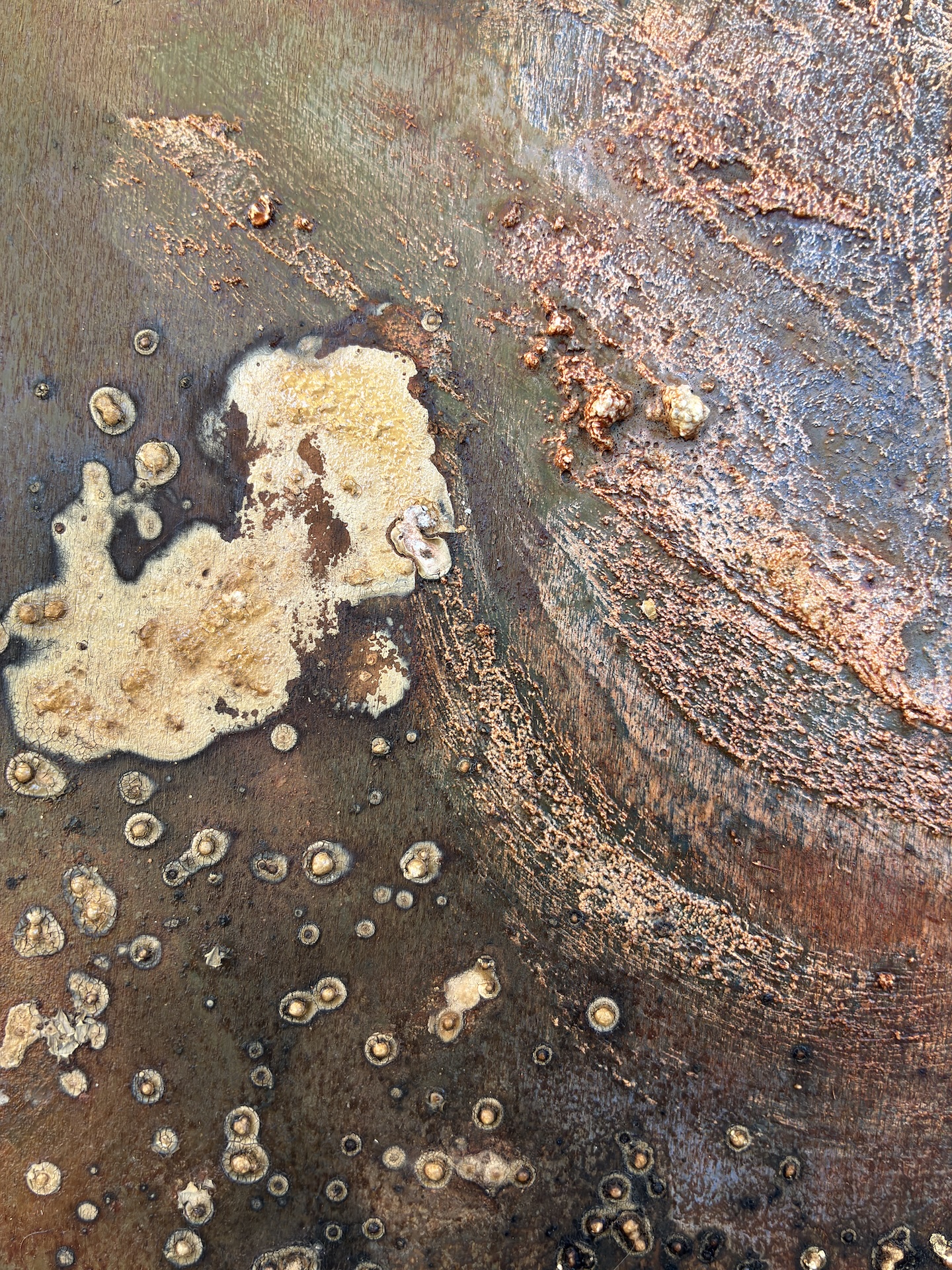 Copper Reef - Image 6